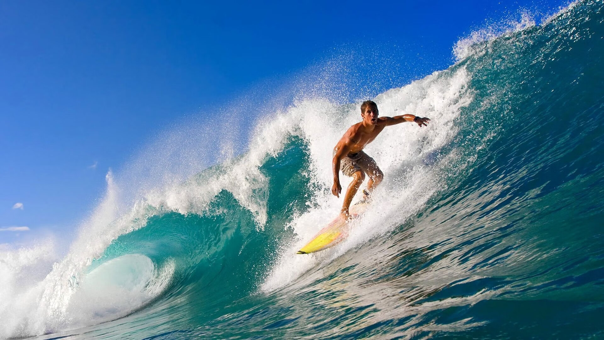 世界杯燃爆全场：精彩场面不停歇！，世界杯锦集