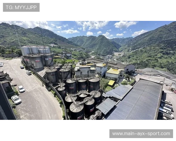 强行接管茅台镇厂房，投资方权益受侵害？，茅台镇拆除酒厂名单